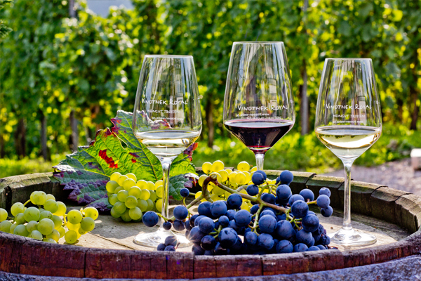 Weinreise ins Südtirol