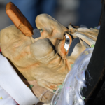 Fasnacht! Gidio Hosestoss